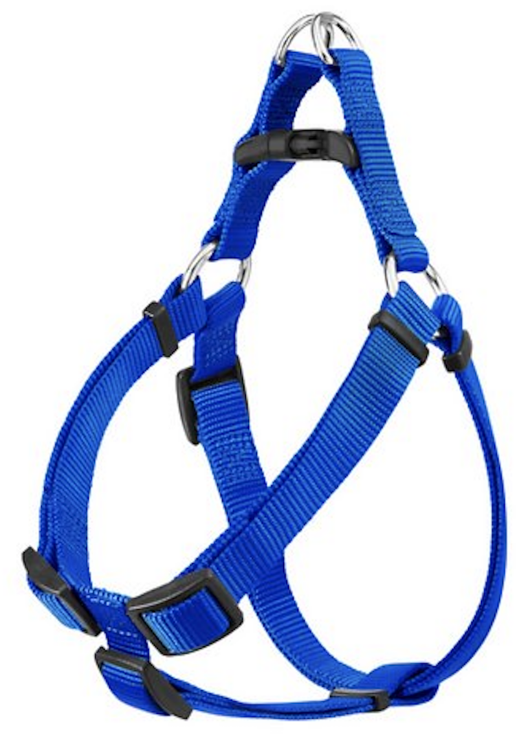 The Best Dog Harnesses for Poodles in 2023 - Bark Wonder